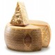 grana padano stagionato